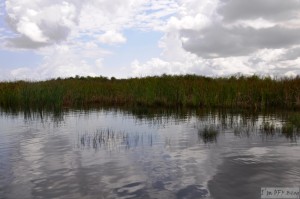USA - NP - Everglades